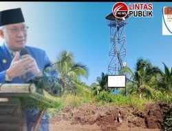 Skandal Agraria di Inhil, Sambu Grup Garap Ribuan Hektar Kawasan Hutan Diduga Tanpa HGU, Kejari Inhil Tutup Mata