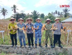 Panen Raya Jagung Kuartal II 2026 di Tomilito Dukung Swasembada Pangan Nasional